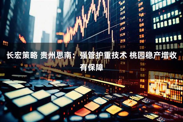长宏策略 贵州思南：强管护重技术 桃园稳产增收有保障