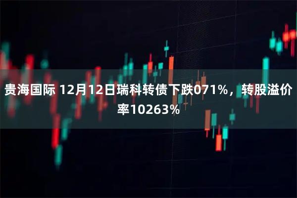 贵海国际 12月12日瑞科转债下跌071%，转股溢价率10263%