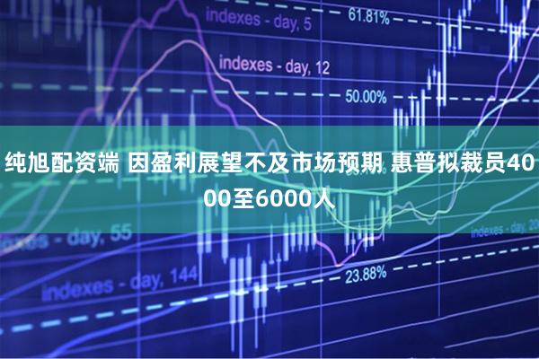 纯旭配资端 因盈利展望不及市场预期 惠普拟裁员4000至6000人