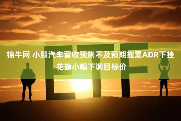 锦牛网 小鹏汽车营收预测不及预期拖累ADR下挫 花旗小幅下调目标价