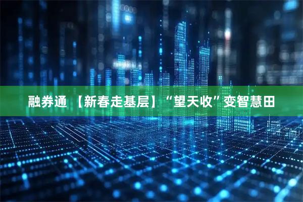 融券通 【新春走基层】“望天收”变智慧田