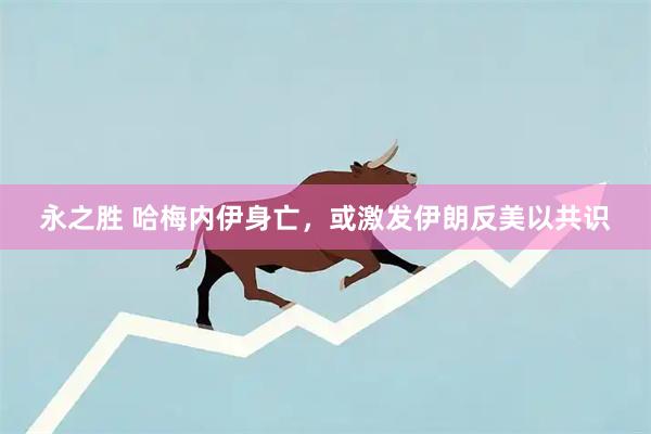 永之胜 哈梅内伊身亡，或激发伊朗反美以共识