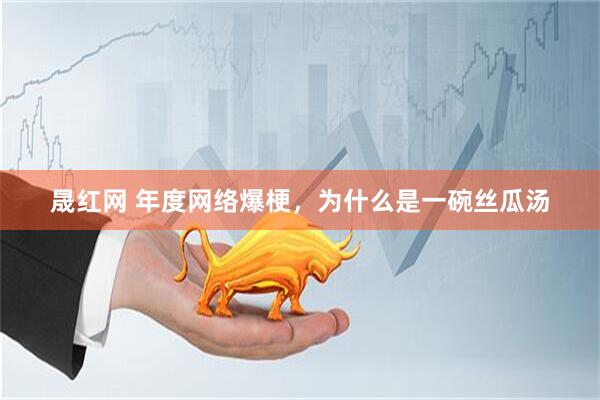 晟红网 年度网络爆梗，为什么是一碗丝瓜汤